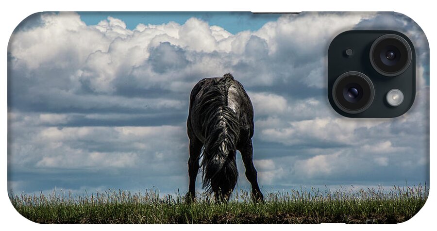 Horse iPhone Case featuring the photograph Lone Black by Kathy McClure