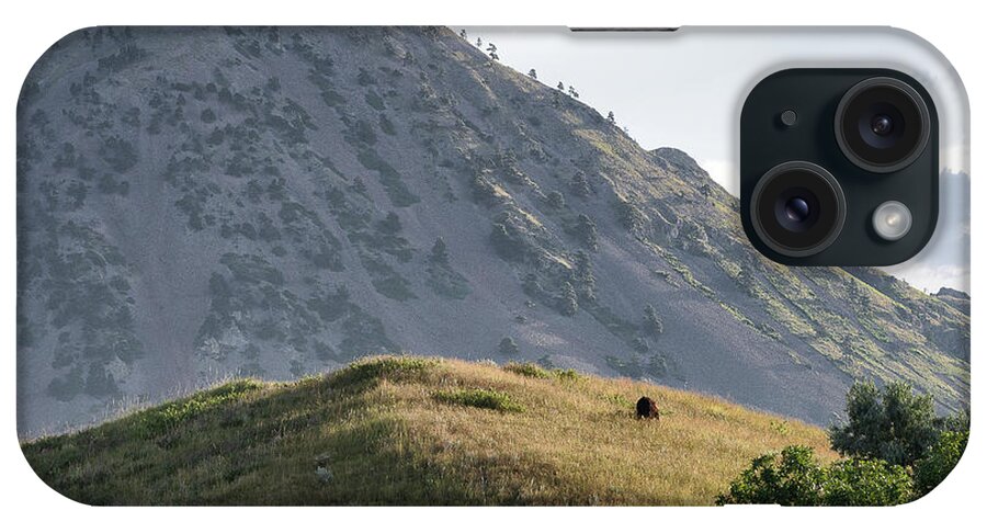 Mountain iPhone Case featuring the photograph Lone Cow by Mike Ste Marie