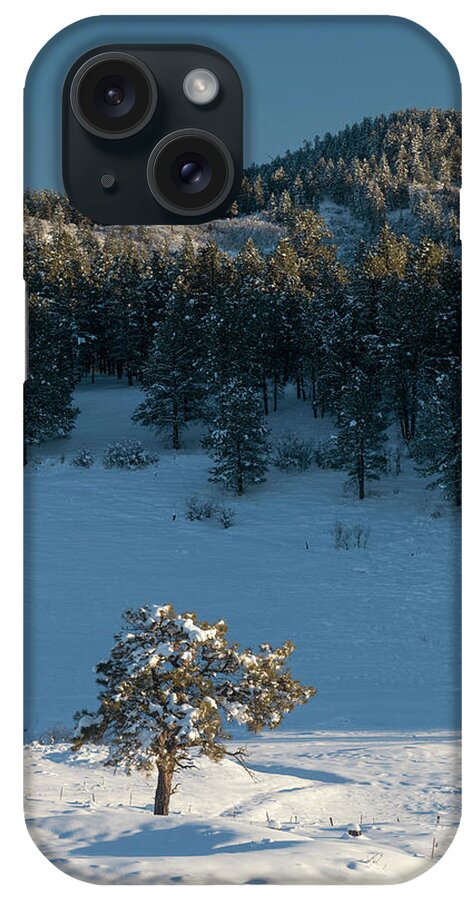 Tree In Snow iPhone Case featuring the photograph Lone Tree by Mark Langford