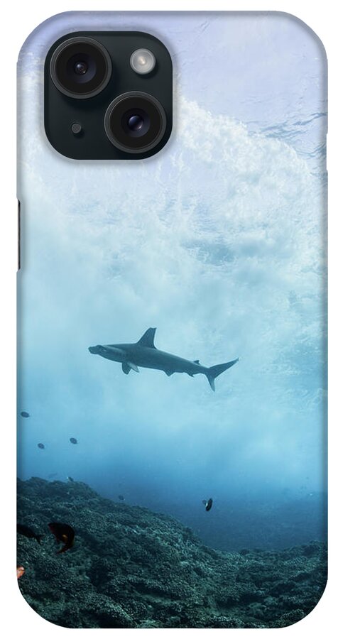 Hammerhead Shark iPhone Case featuring the digital art Lonely Hammerhead Near The Breakers (sphyrna Lewini), Underwater View, Roca Partida, Colima, Mexico by Rodrigo Friscione