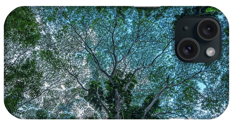 Beautiful iPhone Case featuring the photograph Looking Up Into The Canopy Of Trees by Robert Postma