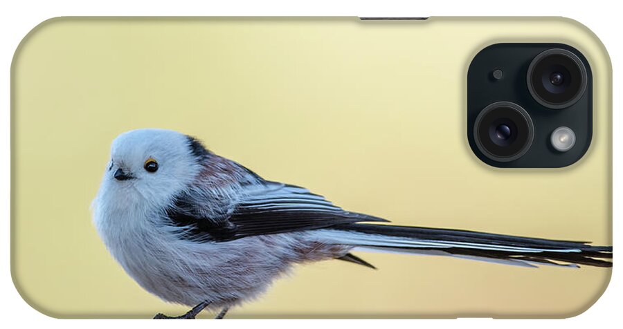 Long-tailed Tit iPhone Case featuring the photograph Looong Tailed Tit by Torbjorn Swenelius