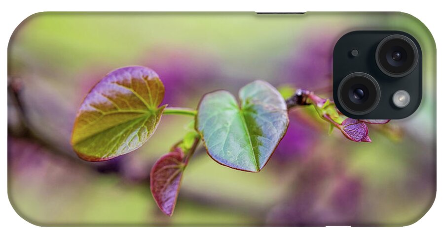 Spring iPhone Case featuring the photograph Nature Photography Trees by Amelia Pearn