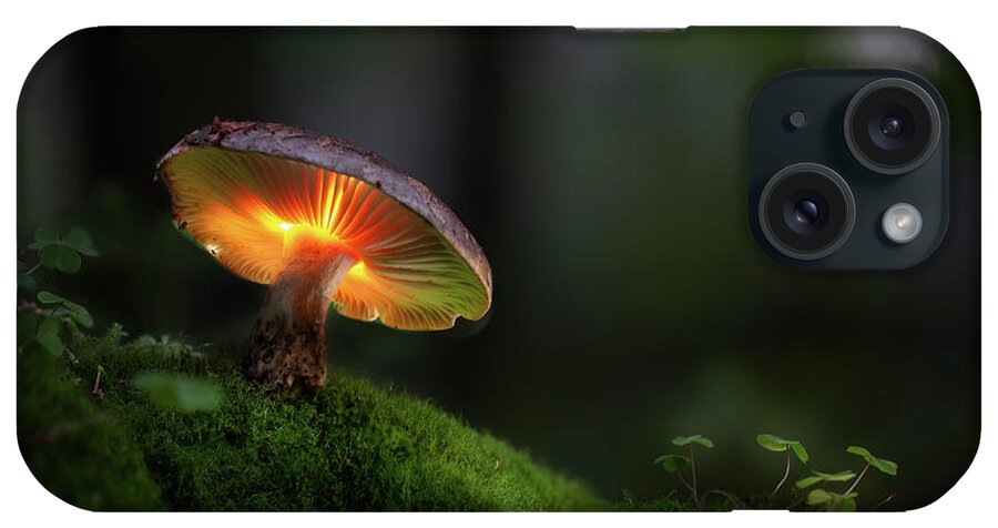 Lightpaitn iPhone Case featuring the photograph Magical mushroom glowing in the dark autumn forest by Dirk Ercken