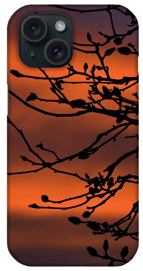 Star Magnolia iPhone Case featuring the photograph Magnolia At Sunset by Chip Gilbert