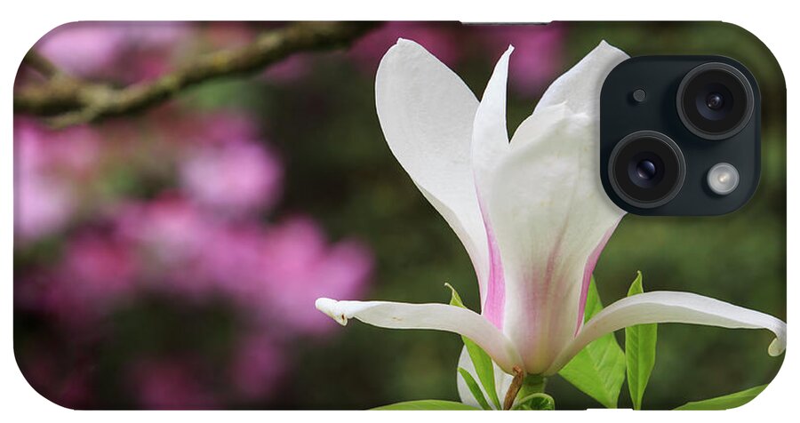 Japanese Garden iPhone Case featuring the photograph Magnolia by Briand Sanderson