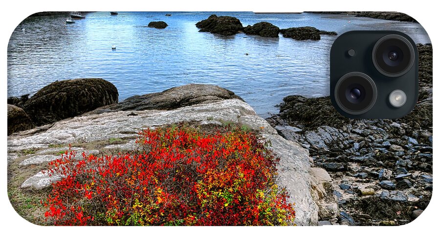 Maine iPhone Case featuring the photograph Maine Coast Autumn Colors by Olivier Le Queinec