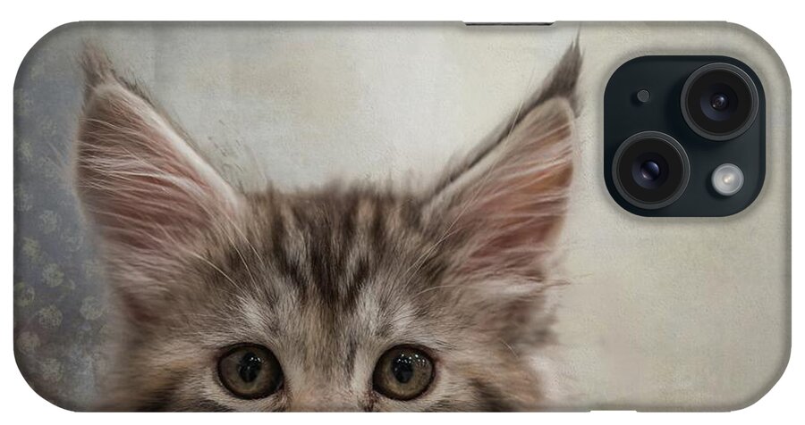 Maine Coon iPhone Case featuring the photograph Maine Coon Kitten by Eva Lechner