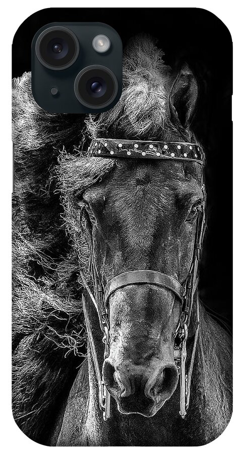 Horse iPhone Case featuring the photograph Majestic Friesian by JBK Photo Art