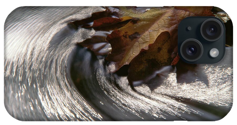 Non-urban Scene iPhone Case featuring the photograph Maple Leaf Acer Sp. In Stream, Water by Art Wolfe