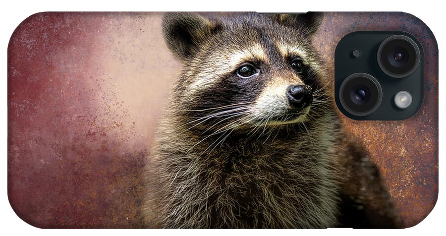 Raccoon iPhone Case featuring the photograph Midnight Raccoon by Elisabeth Lucas