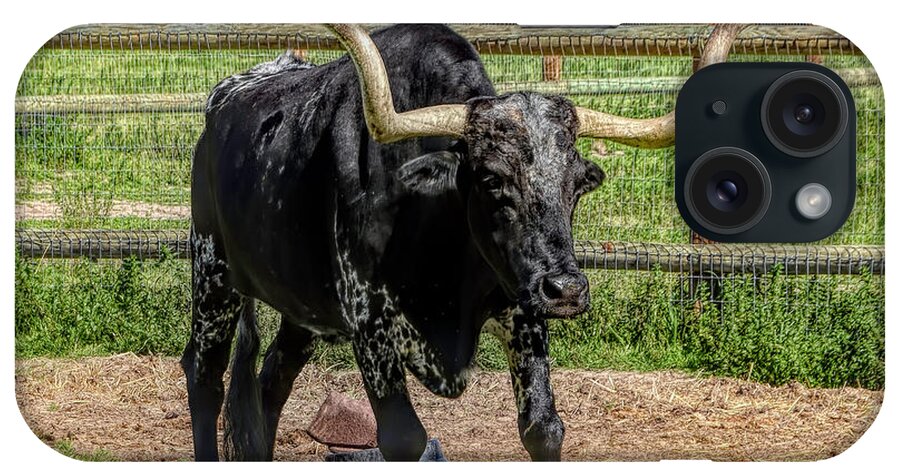 Bull iPhone Case featuring the photograph Mission Longhorn La Purisima  by Floyd Snyder