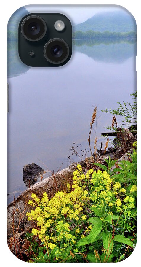 Yellow Flowers iPhone Case featuring the photograph Misty Bluff Country by Susie Loechler