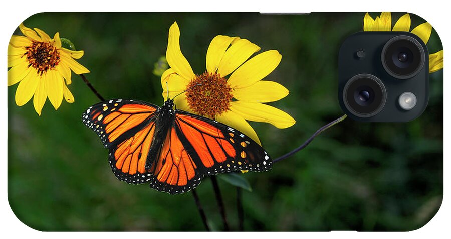 Monarch Butterfly iPhone Case featuring the photograph Monarch 1 by Gordon Semmens