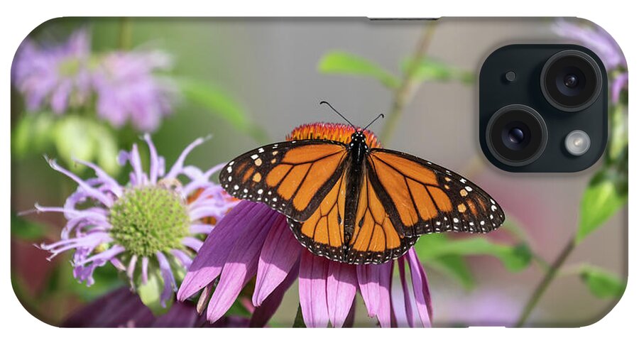 Monarch Butterfly iPhone Case featuring the photograph Monarch 2019-3 by Thomas Young