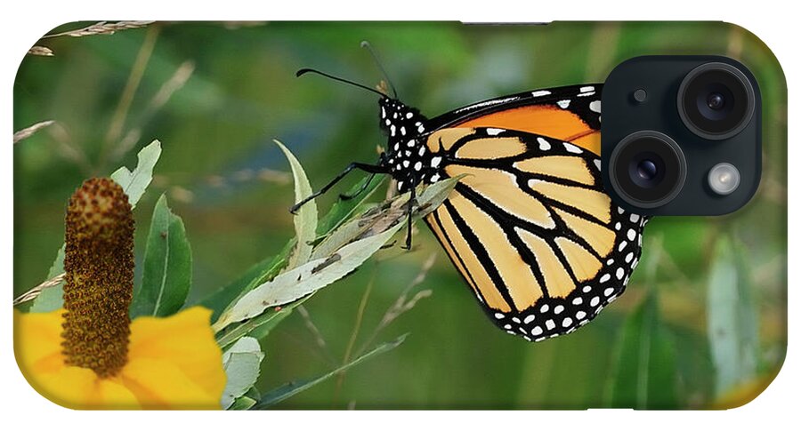 Monarch Butterfly iPhone Case featuring the photograph Monarch 4 by Gordon Semmens