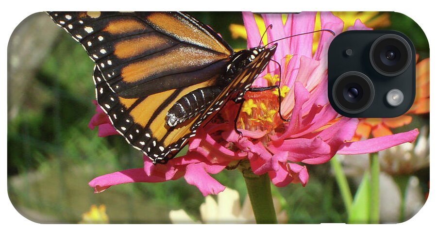 Monarch iPhone Case featuring the photograph Monarch and Zinnia 1 by Amy E Fraser