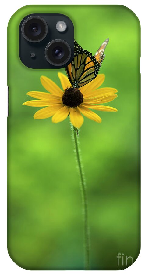 Butterfly iPhone Case featuring the photograph Monarch Butterfly by Diane Diederich