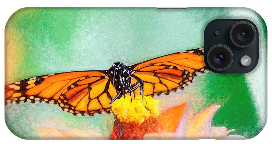 Monarch iPhone Case featuring the photograph Monarch Butterfly Full Spread Chalk by Don Northup
