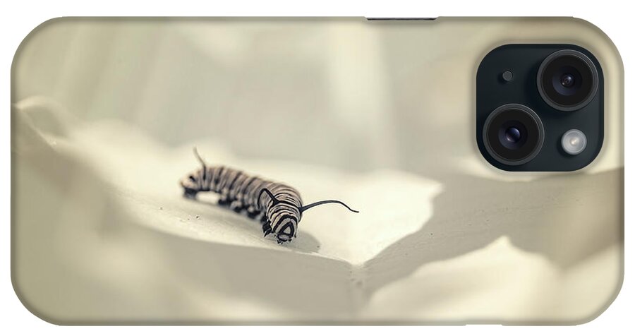Monarch Caterpillar Insect Nature Closeup Close Up Close-up Ir Infrared 720nm Outside Outdoors Brian Hale Brianhalephoto iPhone Case featuring the photograph Monarch Caterpillar 7 by Brian Hale