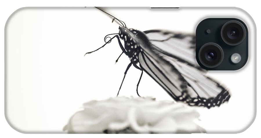 Ir Infra Red Infrared Monarch Butterfly Butterflies Flower Flowers Floral Botany Botanical Outside Outdoors Nature Natural Insect Ma Mass Massachusetts U.s.a. Brian Hale Brianhalephoto Fine Art 720nm Proboscis iPhone Case featuring the photograph Monarch in Infrared 4 by Brian Hale