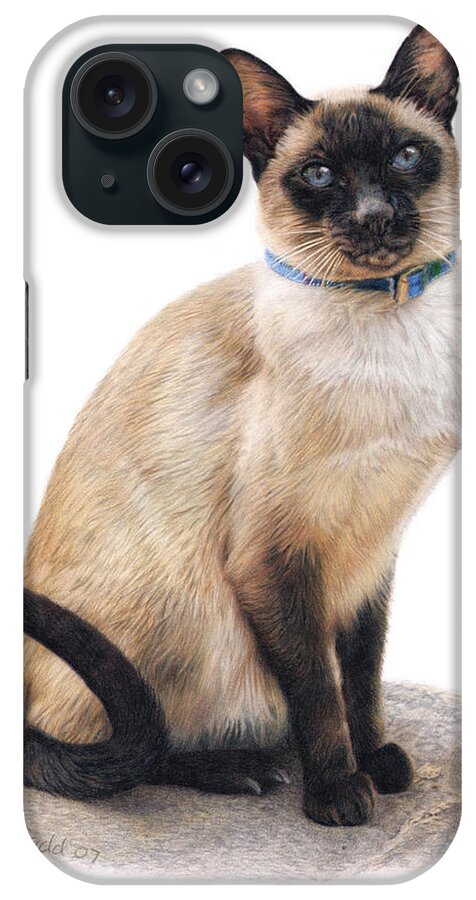 Domestic Cats iPhone Case featuring the painting Monkey by Aron Gadd
