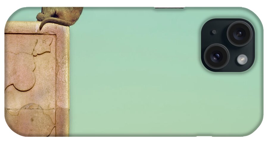 Animal Themes iPhone Case featuring the photograph Monkey In Deep Thought by Verónica De Prado