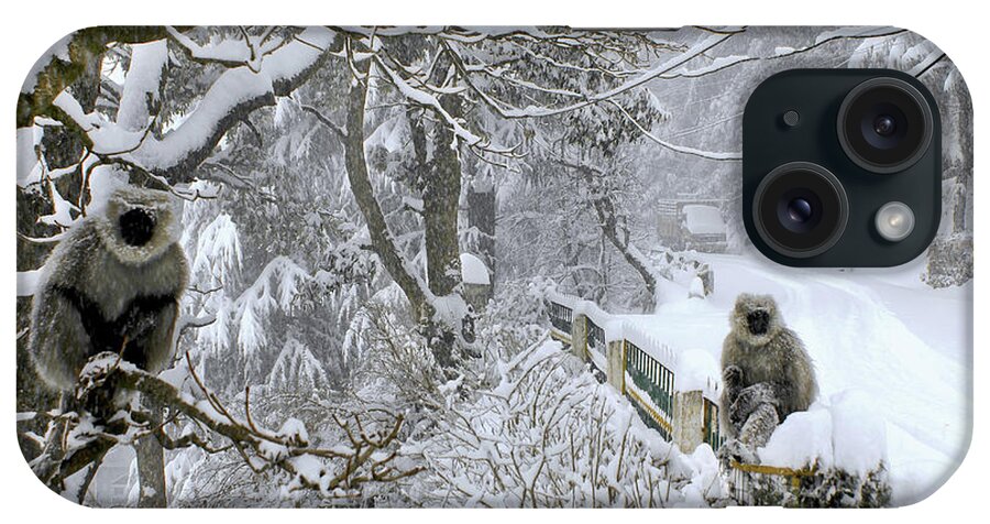 Snow iPhone Case featuring the photograph Monkeys In A Winter Snow Storm by Remote Asia Photo