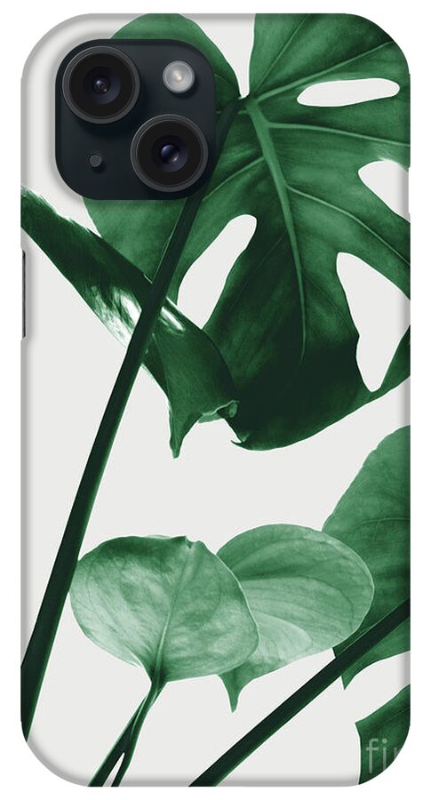 Color iPhone Case featuring the photograph Monstera Vibes #1 #minimal #green #decor #art by Anitas and Bellas Art