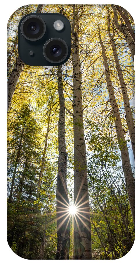 Montana iPhone Case featuring the photograph Montana Autumn Aspen by Matt Hammerstein