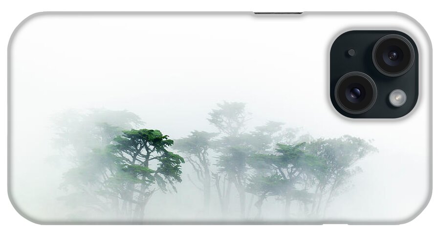 Sebastian Kennerknecht iPhone Case featuring the photograph Monterey Cypress In The Fog by Sebastian Kennerknecht