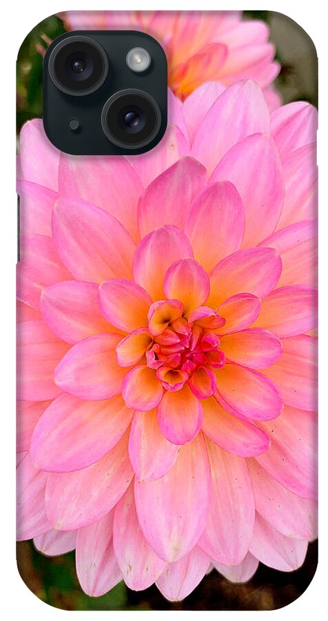 Monterey iPhone Case featuring the photograph Monterey Floral Study 9 by Robert Meyers-Lussier