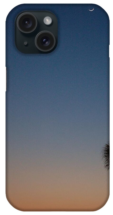 Panhandle iPhone Case featuring the photograph Moon and Palm by Dennis Schmidt