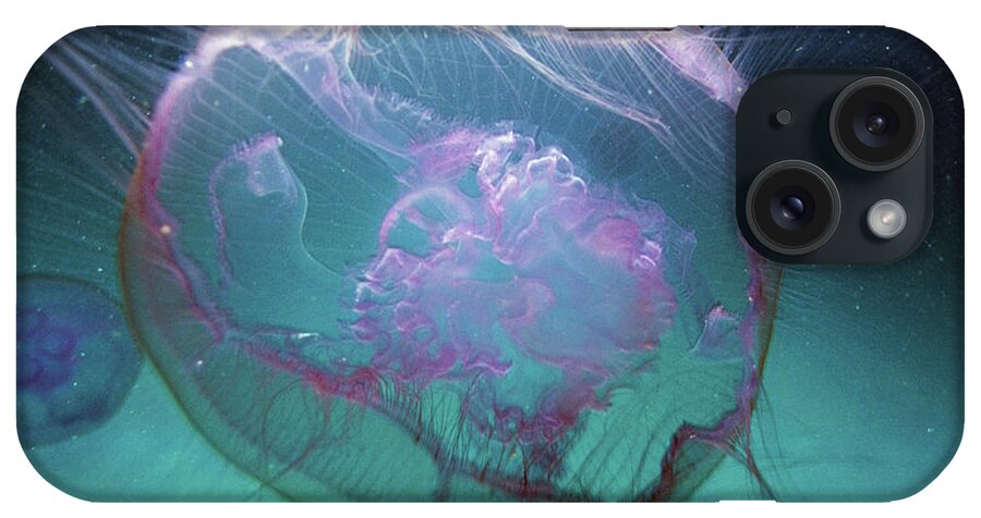 Underwater iPhone Case featuring the photograph Moon Jellyfish Aurelia Aurita by Karan Kapoor