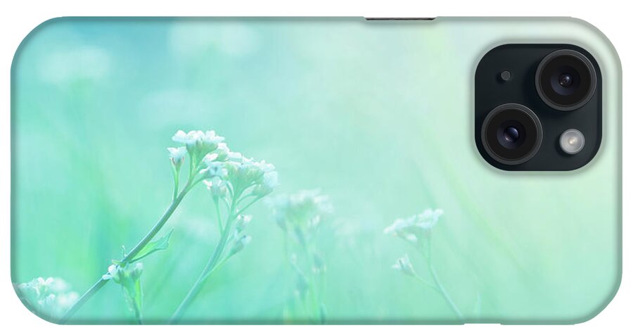 Grass iPhone Case featuring the photograph Morning by Jeja