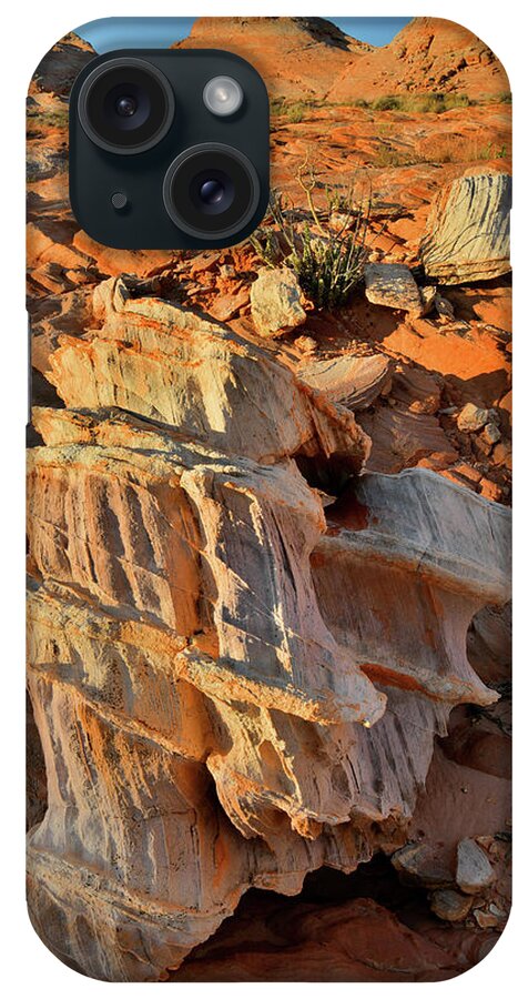 Valley Of Fire State Park iPhone Case featuring the photograph Morning Light on Beautiful Sandstone Form in Valley of Fire by Ray Mathis