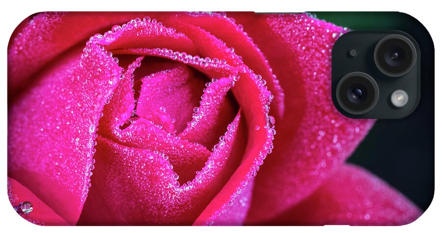 Rose iPhone Case featuring the photograph Morning Rose by Brad Bellisle