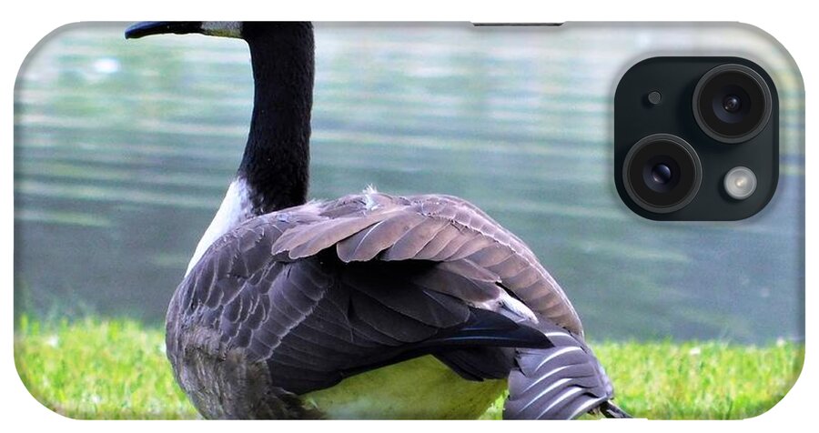 - Morning Yoga - Canada Goose iPhone Case featuring the photograph - Morning Yoga - Canada Goose by THERESA Nye