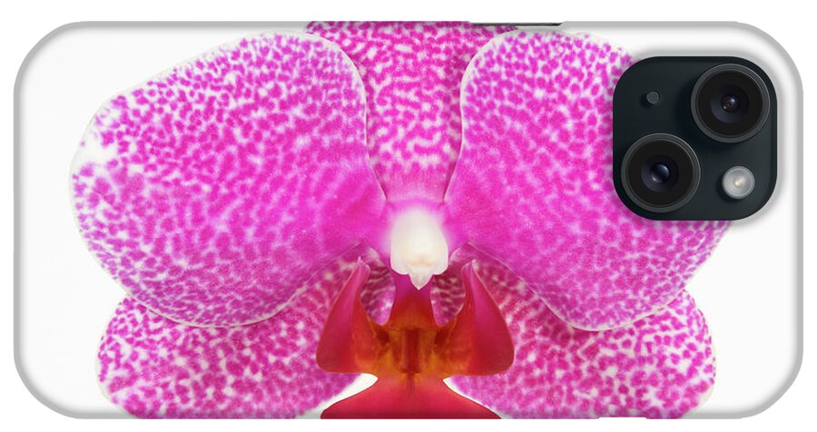 White Background iPhone Case featuring the photograph Moth Orchid Phalaenopsis Sp., Close Up by Geoff Du Feu