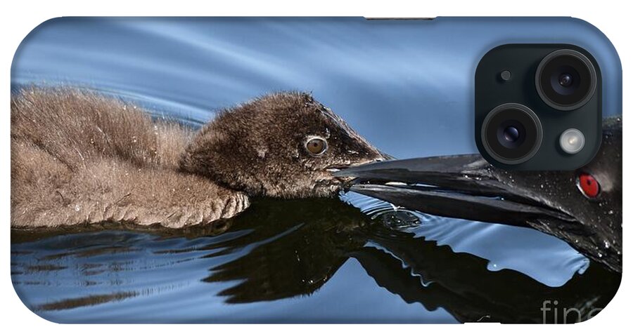 Loons iPhone Case featuring the photograph Mother and Baby by Steve Brown