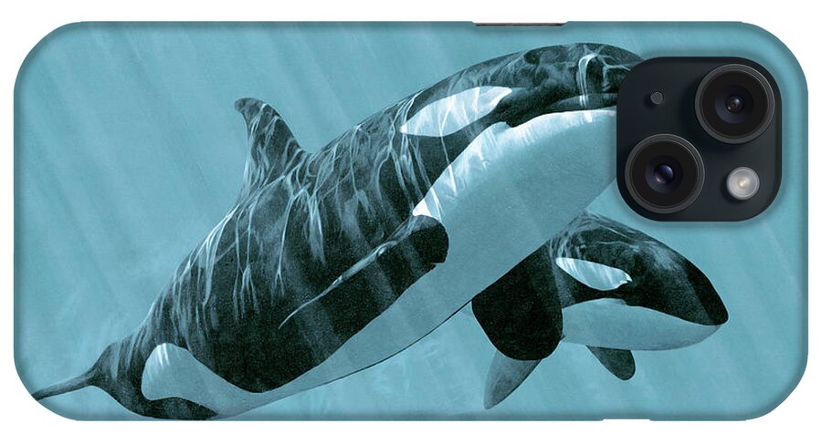 Two Orcas Glide Underwater. iPhone Case featuring the painting Mother And Son- Orcas by Ron Parker