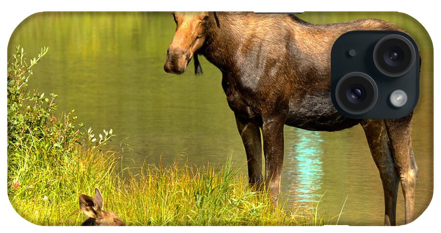  iPhone Case featuring the photograph Mother Moose And Junior by Adam Jewell