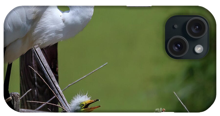 Heron iPhone Case featuring the photograph Mother's Day by JASawyer Imaging