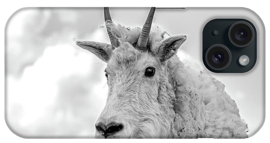 Mountain Goat iPhone Case featuring the photograph Mountain Goat in Black and White by Mindy Musick King