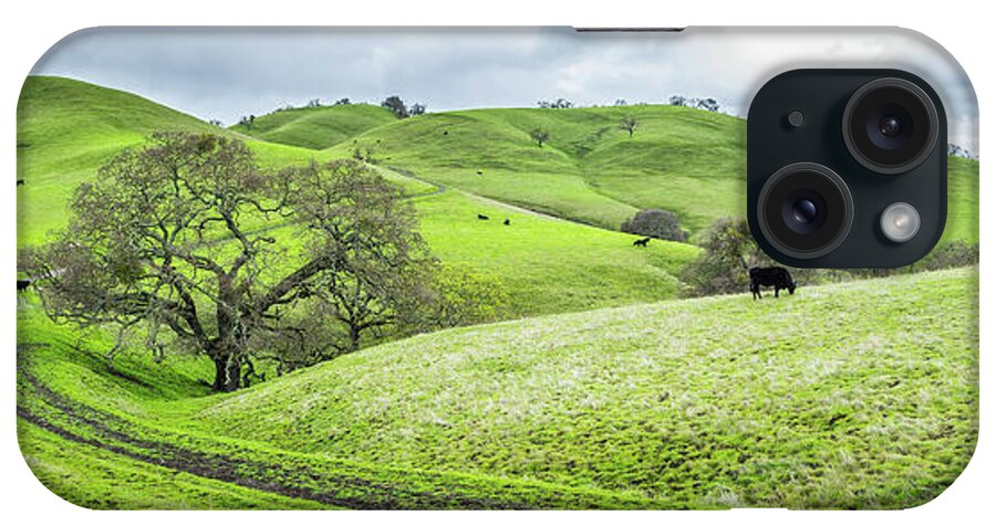 Adventure iPhone Case featuring the photograph Mt. Diablo Spring Hillside by Scott McGuire