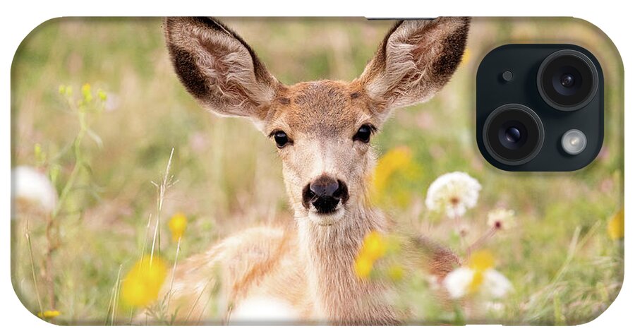 Deer iPhone Case featuring the photograph Mule Deer Fawn Lying in Wildflowers by Tony Hake