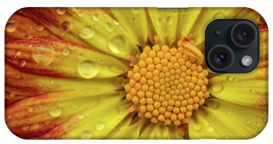 Flower iPhone Case featuring the photograph Mum by Michelle Wittensoldner
