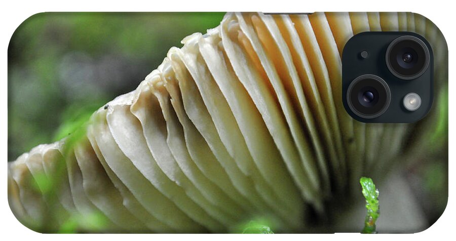 Glacier National Park iPhone Case featuring the photograph Mushroom Spaceship by Bruce Gourley