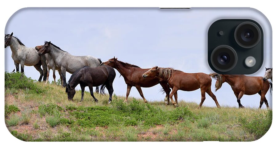 Mustangs Of The Badlands-1405 iPhone Case featuring the photograph Mustangs Of The Badlands-1405 by Gordon Semmens