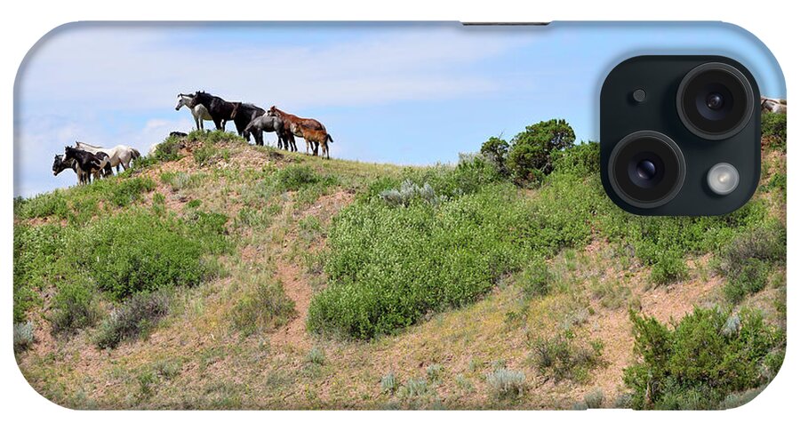 Mustangs Of The Badlands-1503 iPhone Case featuring the photograph Mustangs Of The Badlands-1503 by Gordon Semmens